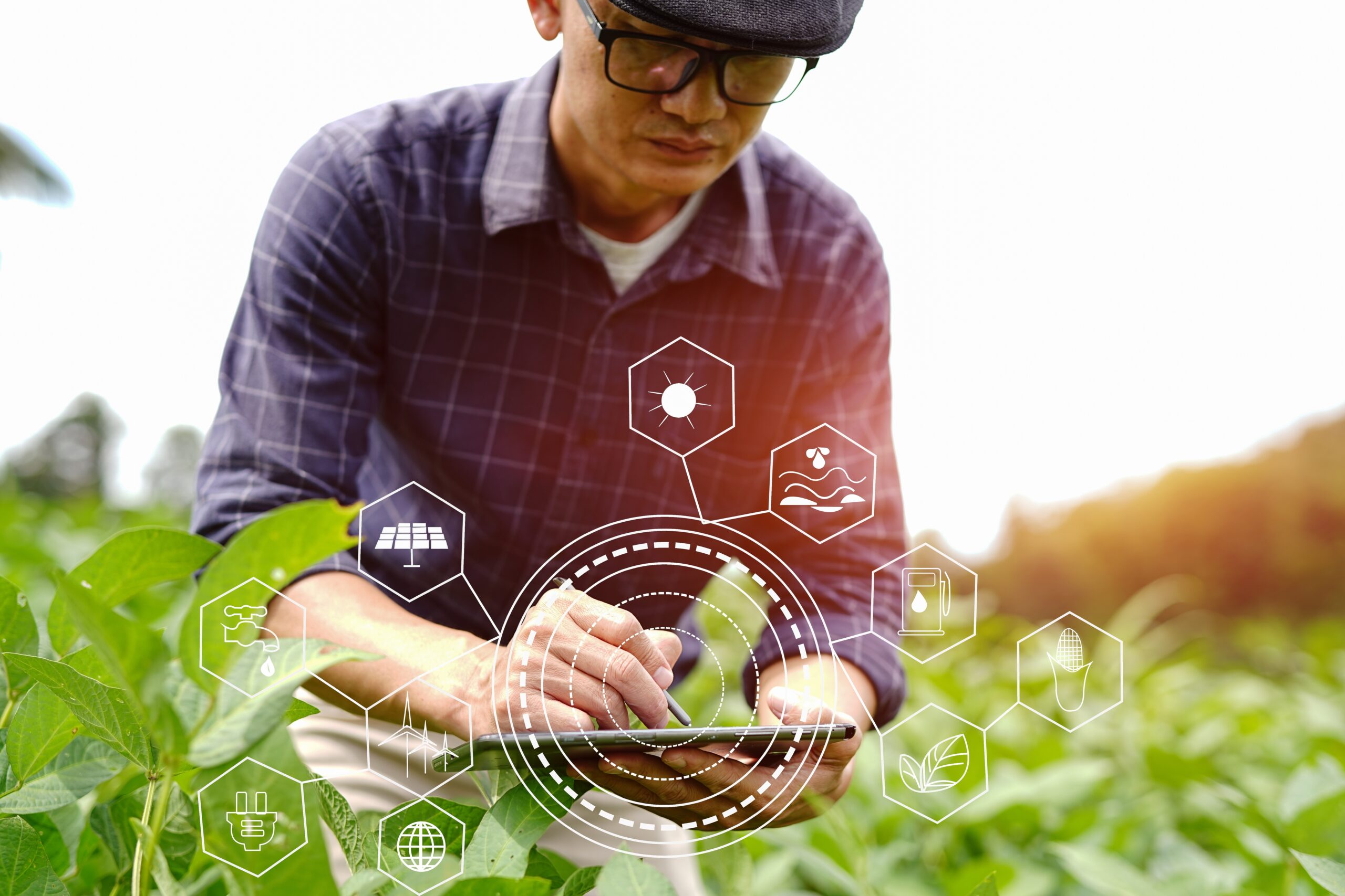 Agricultural Terrain Asset Analysis scaled