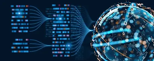 AI Evaluation Program